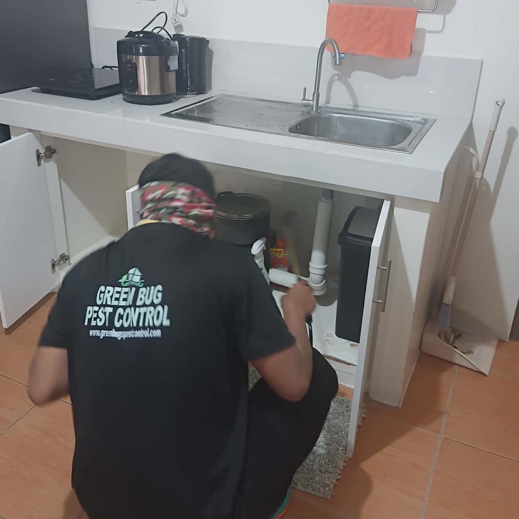 Residential Pest Management